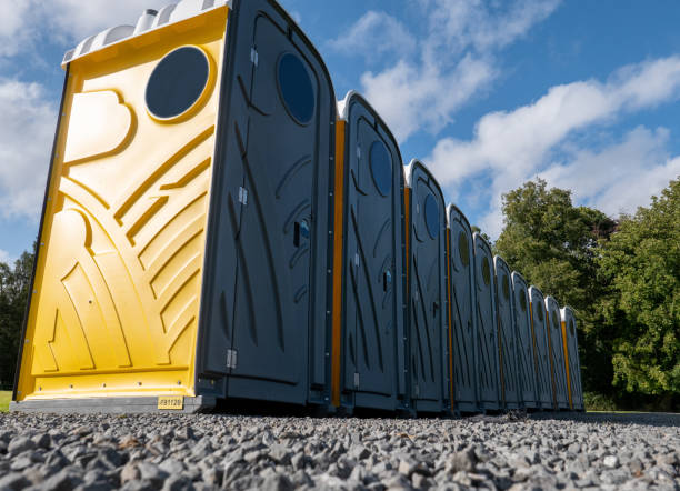 Best Eco-Friendly Portable Toilets  in Milbank, SD